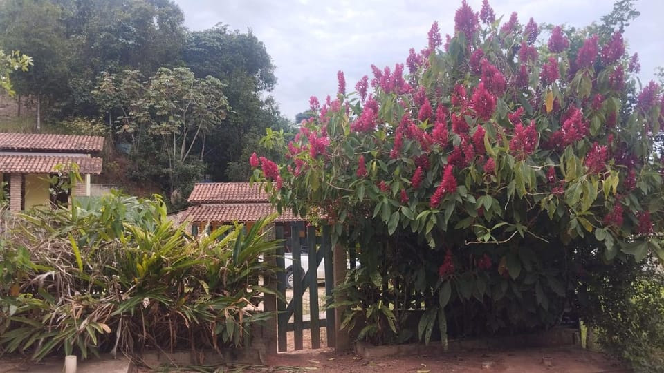 Recanto Zen Centro Cumuruxatiba Bed and Breakfast in State of Bahia