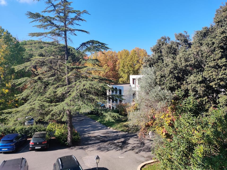 Garden view