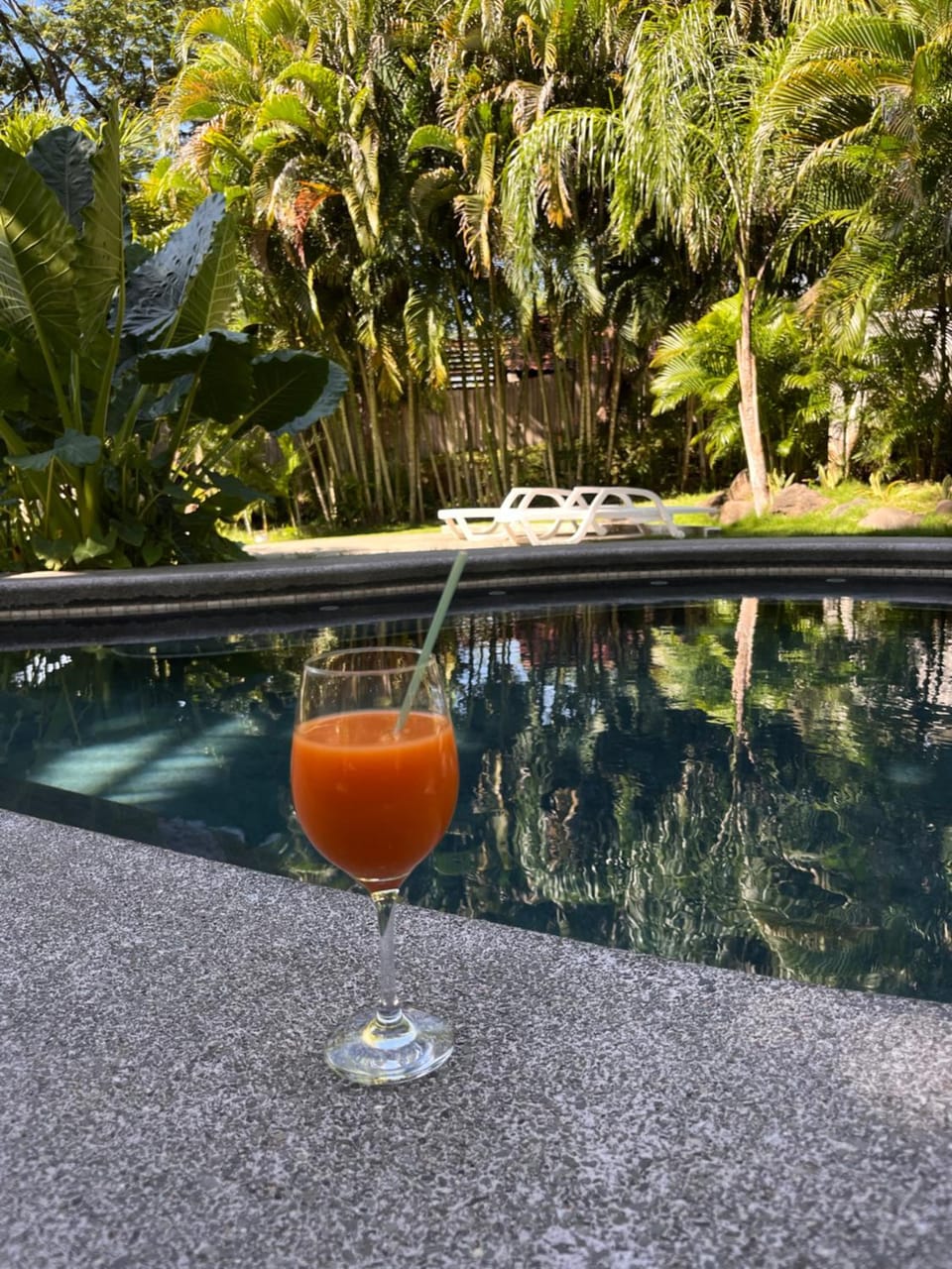 Day, Natural landscape, Garden, Garden view, Pool view, Swimming pool, Drinks