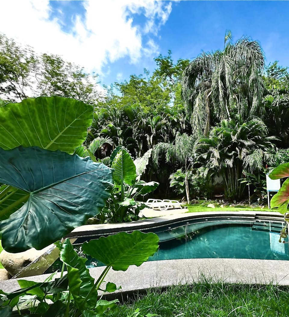 Spring, Day, Natural landscape, Garden, Garden, Garden view, Pool view, Swimming pool, sunbed