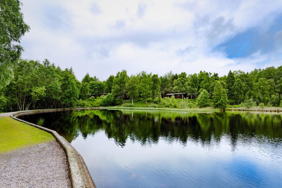 Lake view