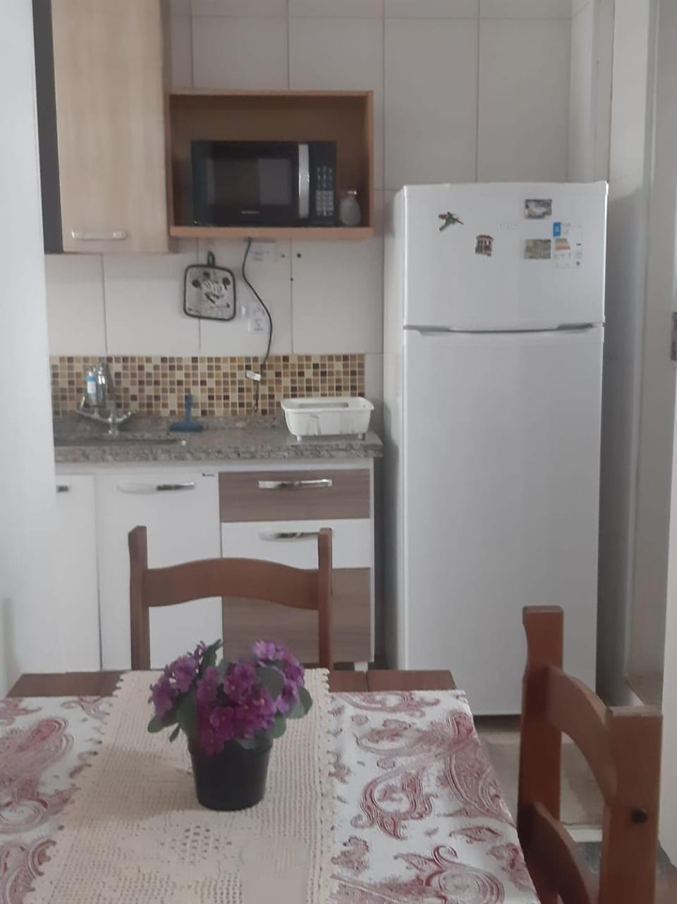 Ape Brisa do Mar Apartment in Santos
