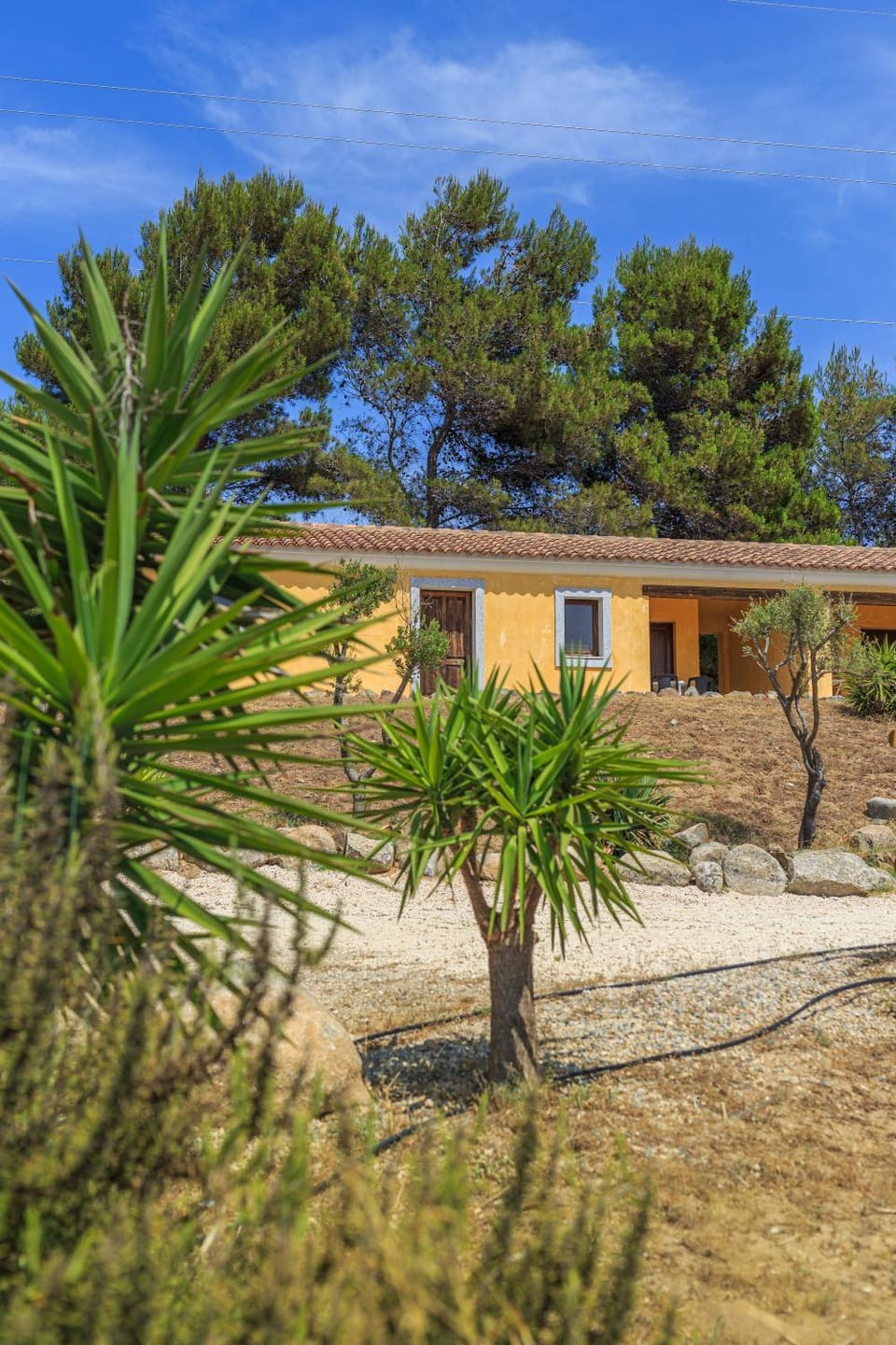 Property building, Garden