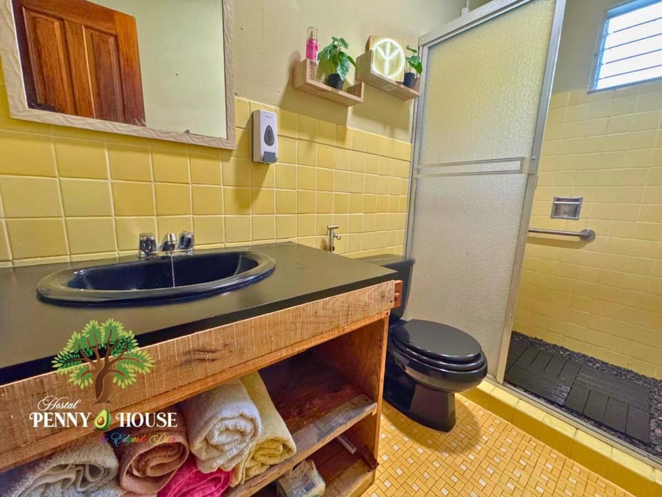Shower, Kitchen or kitchenette