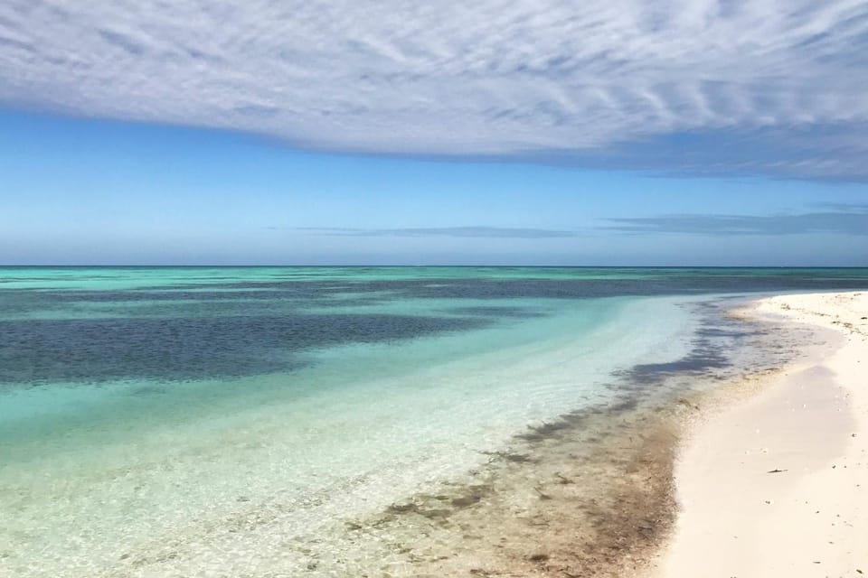 KW31D Orchid Suite Apartment in Key West