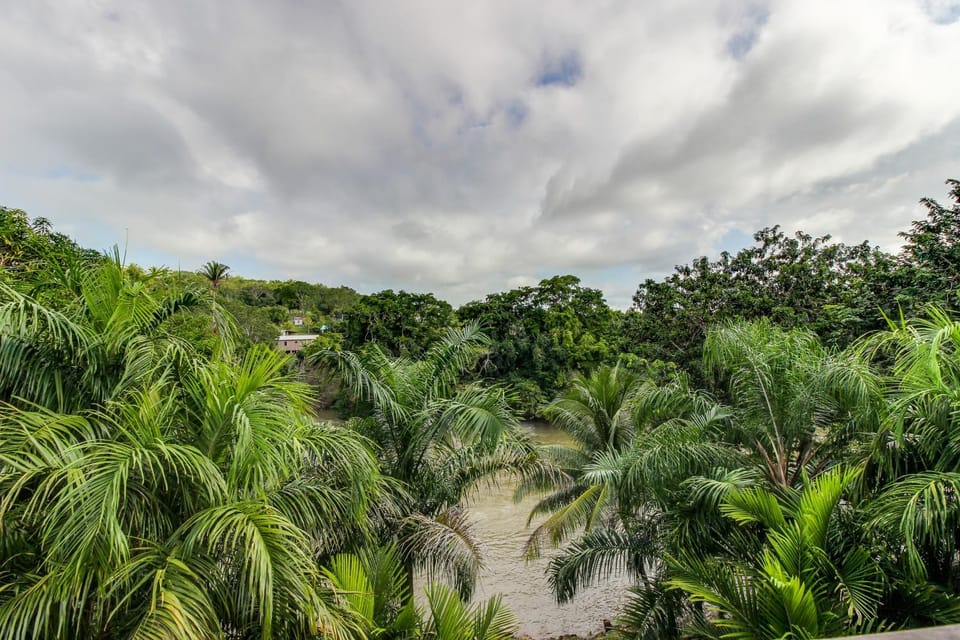 Monkey Suite at Mahogany Hall -Gold Standard Certified House in Cayo District