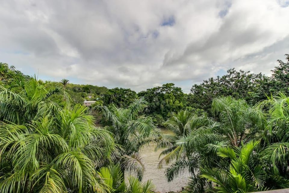 Monkey Suite at Mahogany Hall -Gold Standard Certified Inn in Cayo District