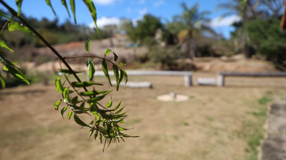 Day, Natural landscape, Garden