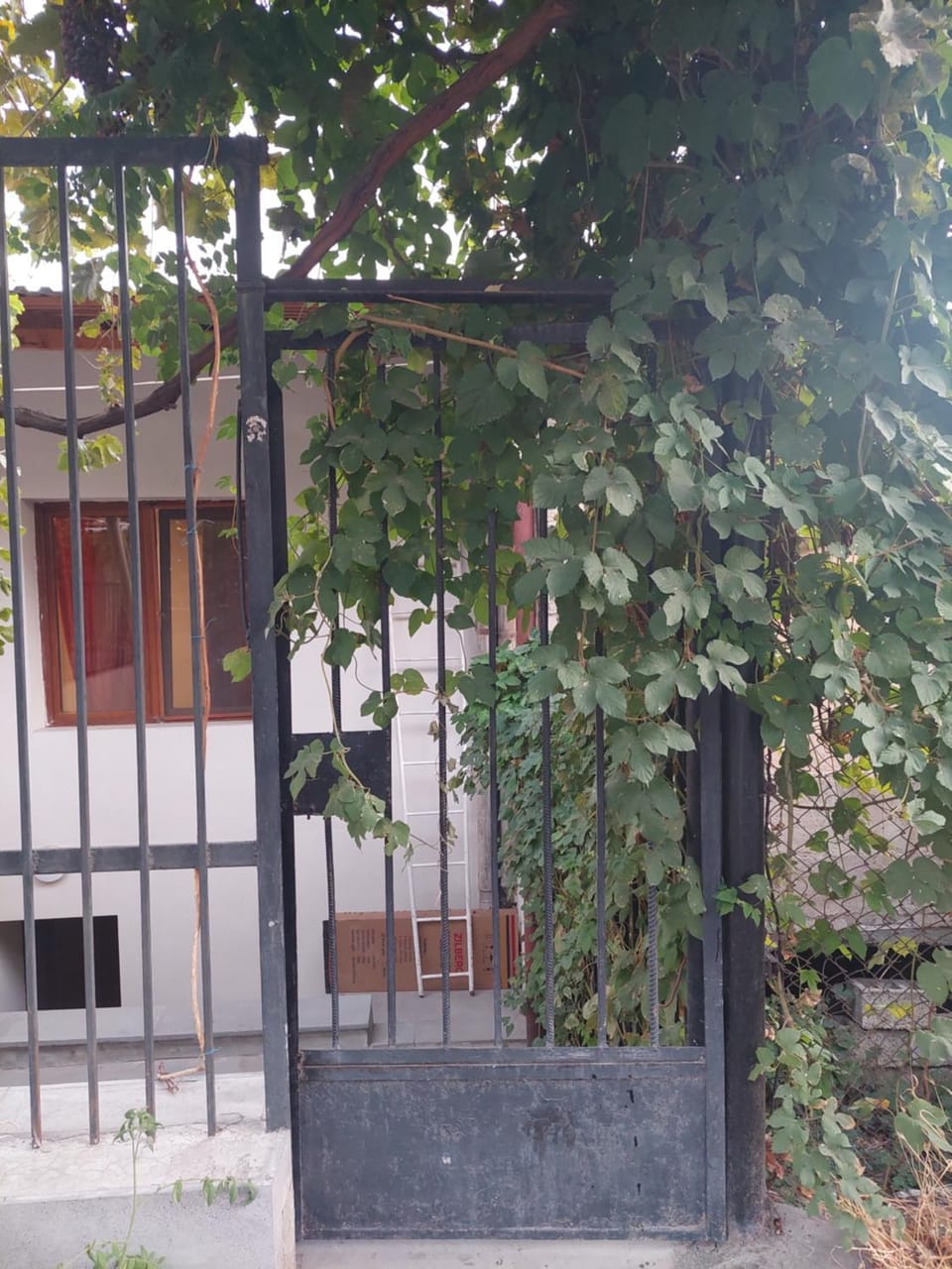 Cute-Home Aygedzor Apartment in Yerevan