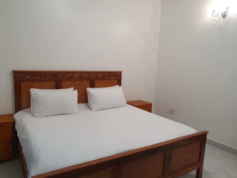 Big H Apartments - 2 bedrooms - 1 bathroom - Sittingroom - kitchen - free parking- free wifi - Fully furnished Apartment in Uganda