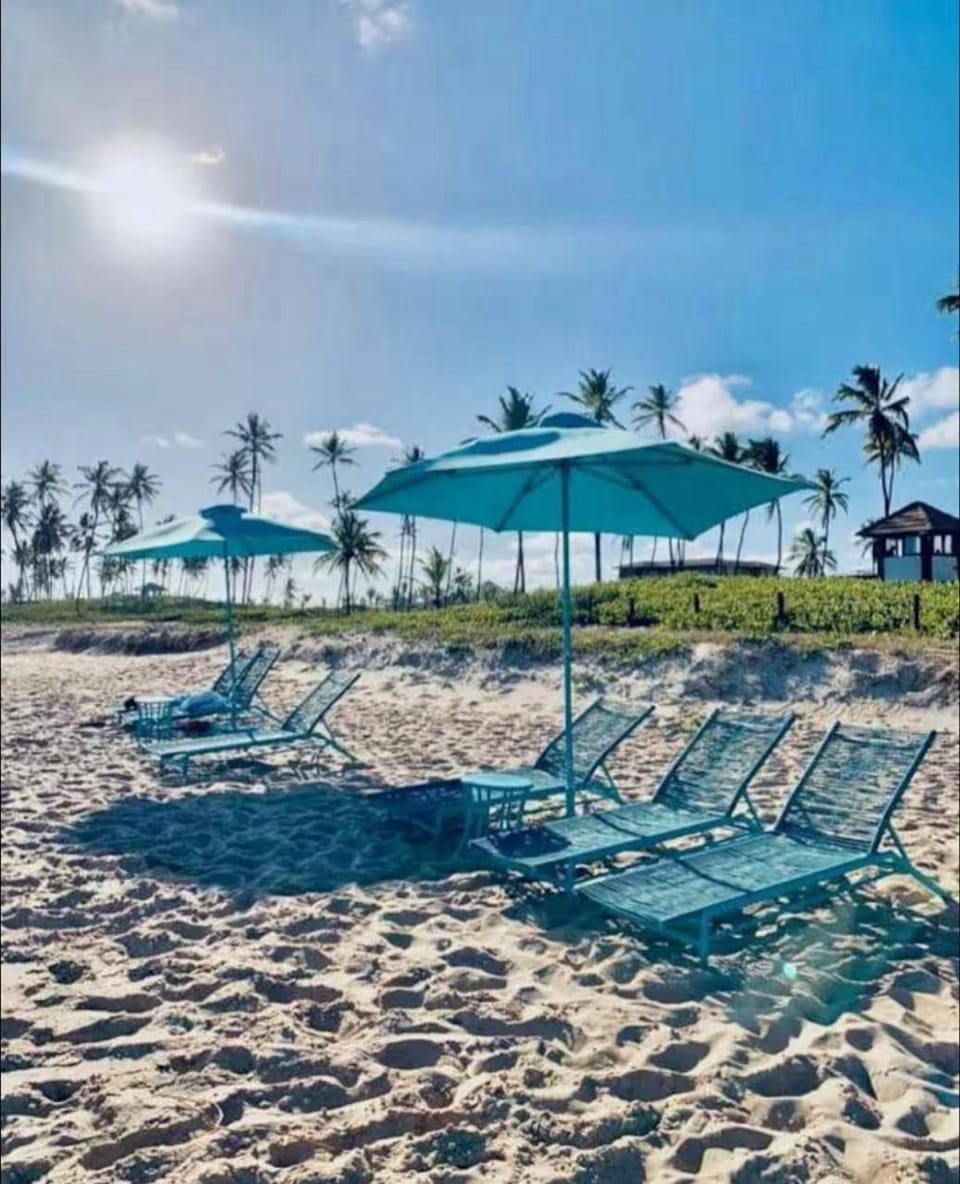 Day, Natural landscape, Beach, Sea view, group of guests, sunbed