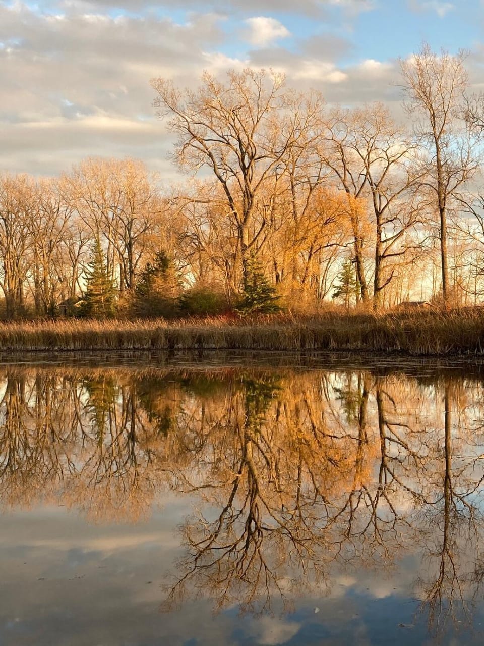 Natural landscape, Lake view