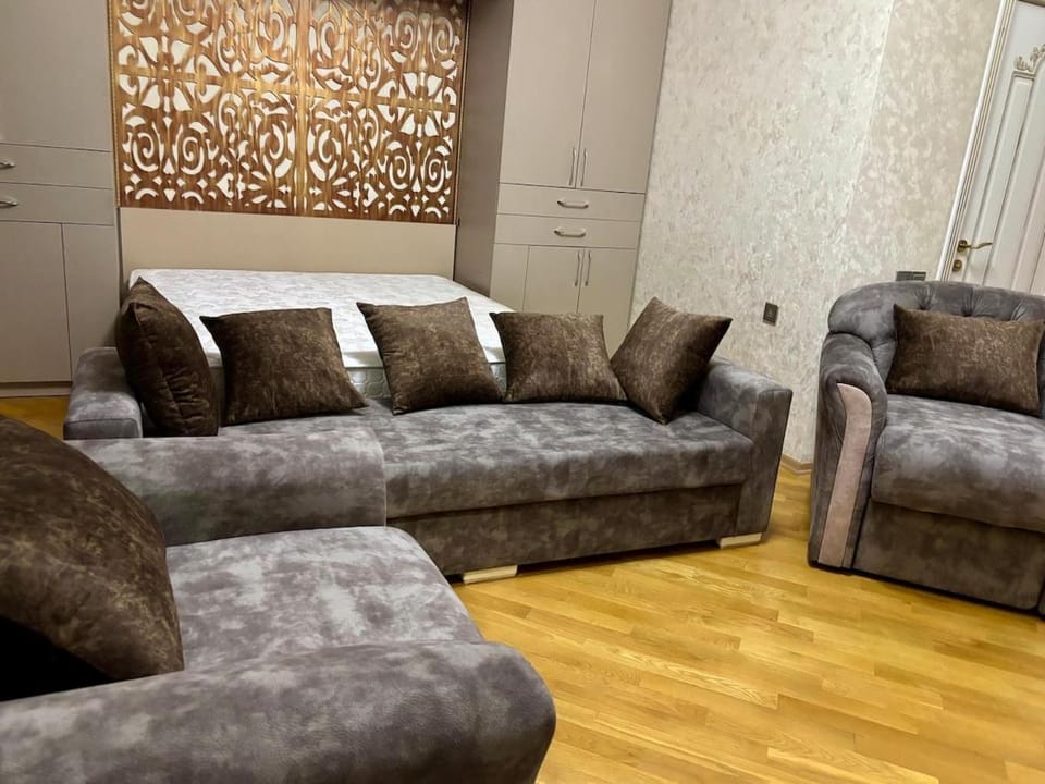 Spacious Modern Studio near Premier Palace hotel Apartment in Baku