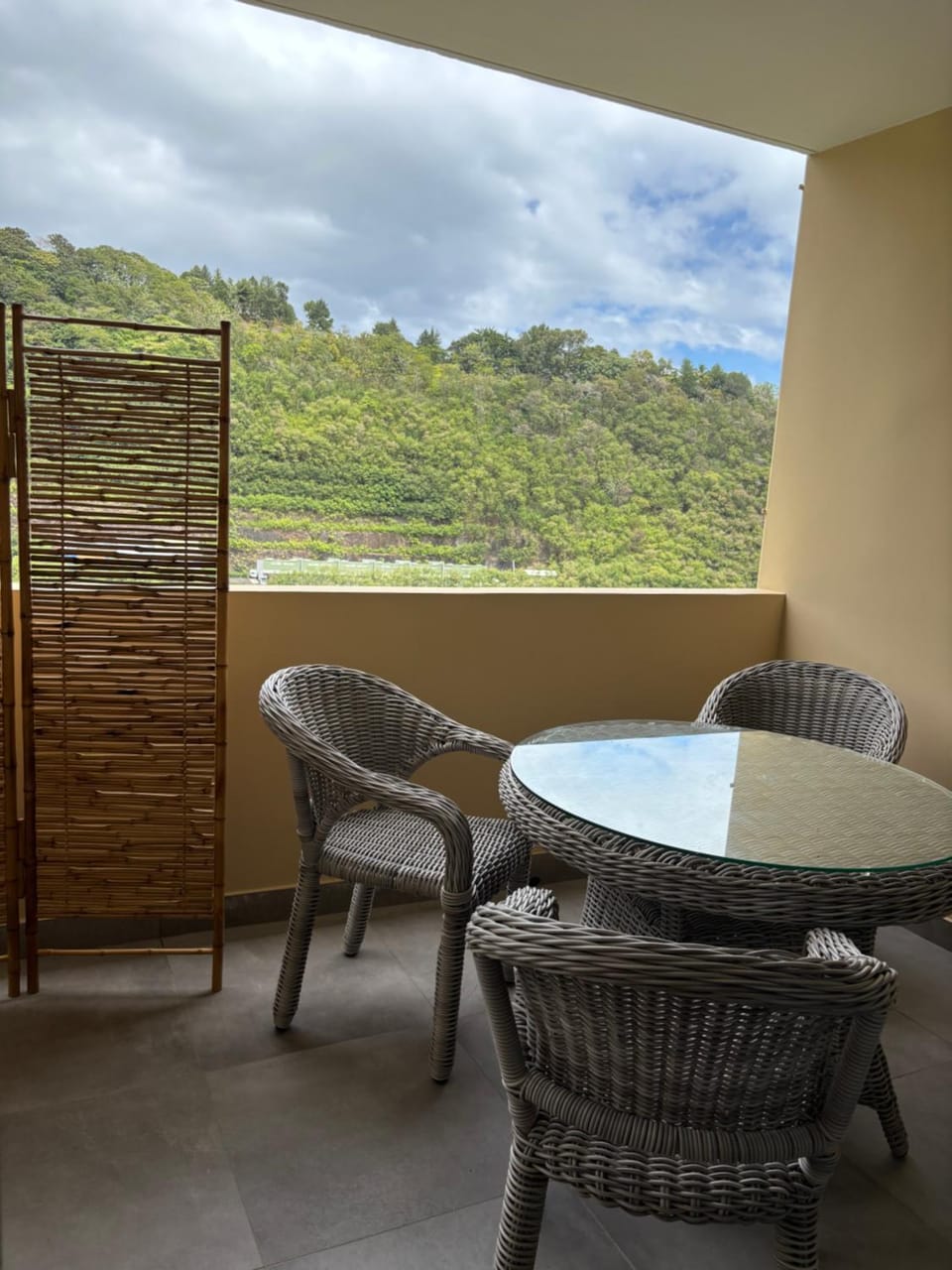 Patio, Off site, Natural landscape, View (from property/room), Balcony/Terrace, Dining area, Mountain view