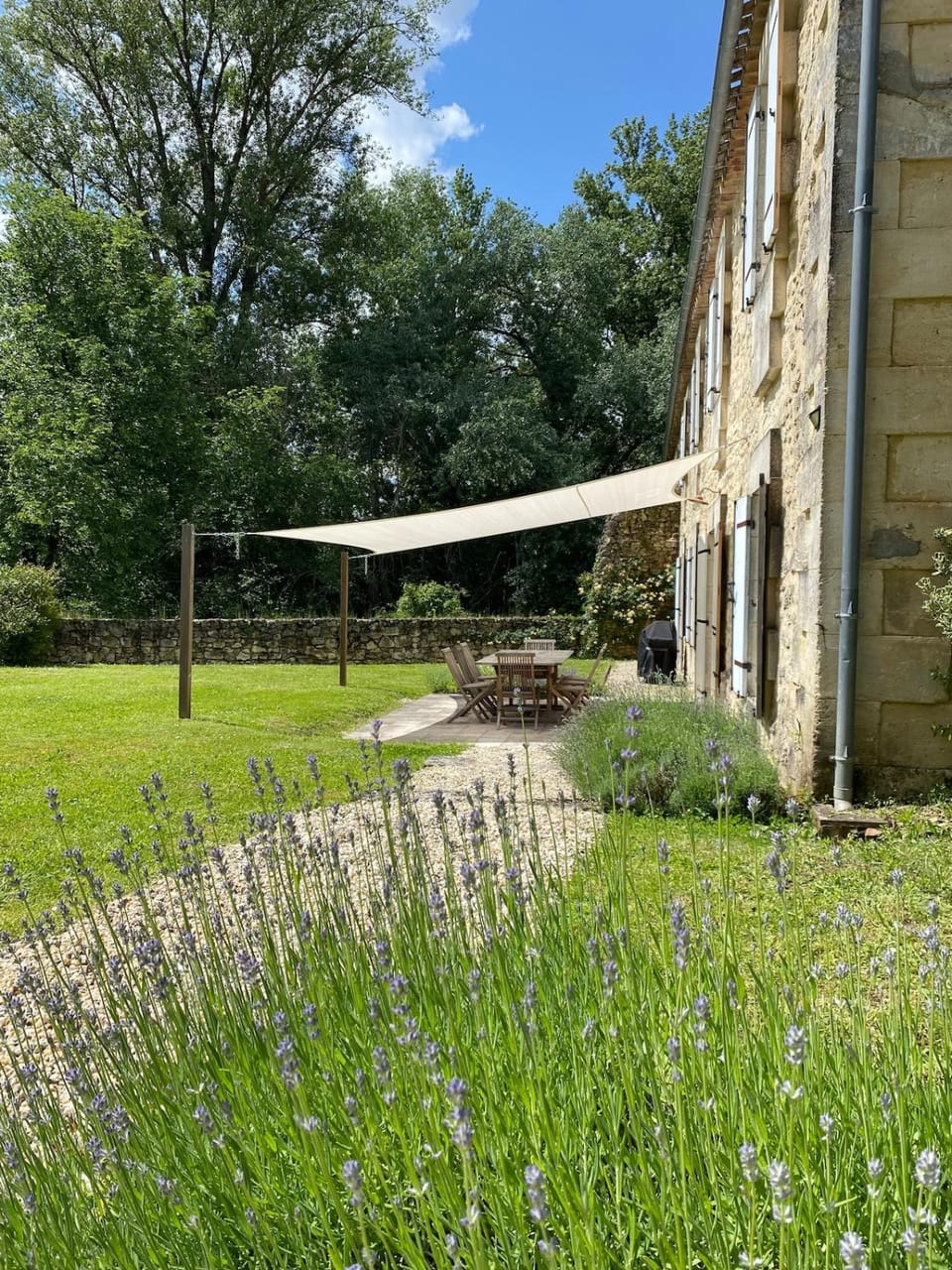 Natural landscape, Garden, Garden, Garden view
