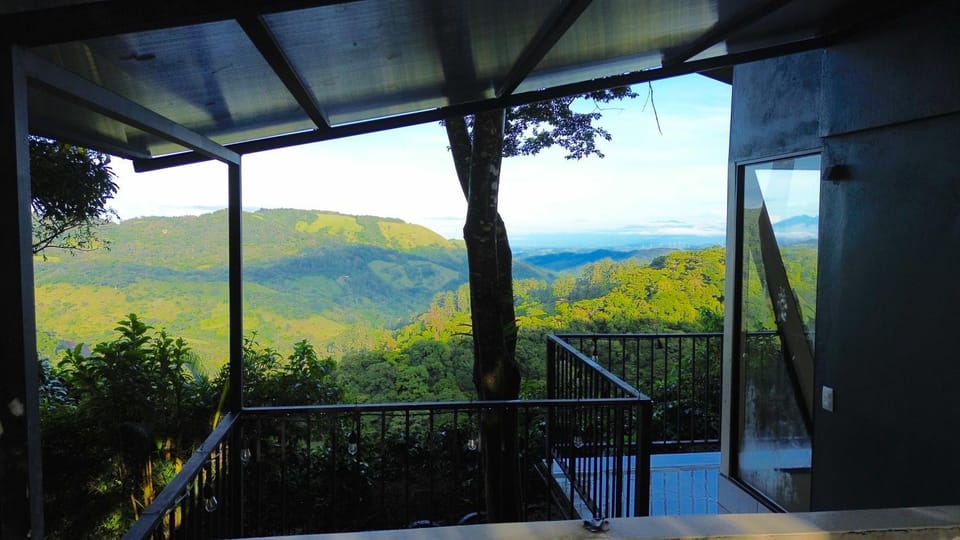 View (from property/room)