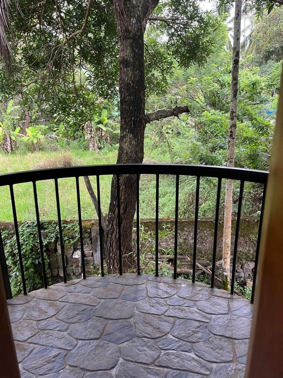 Apricot Cottage House in Kozhikode