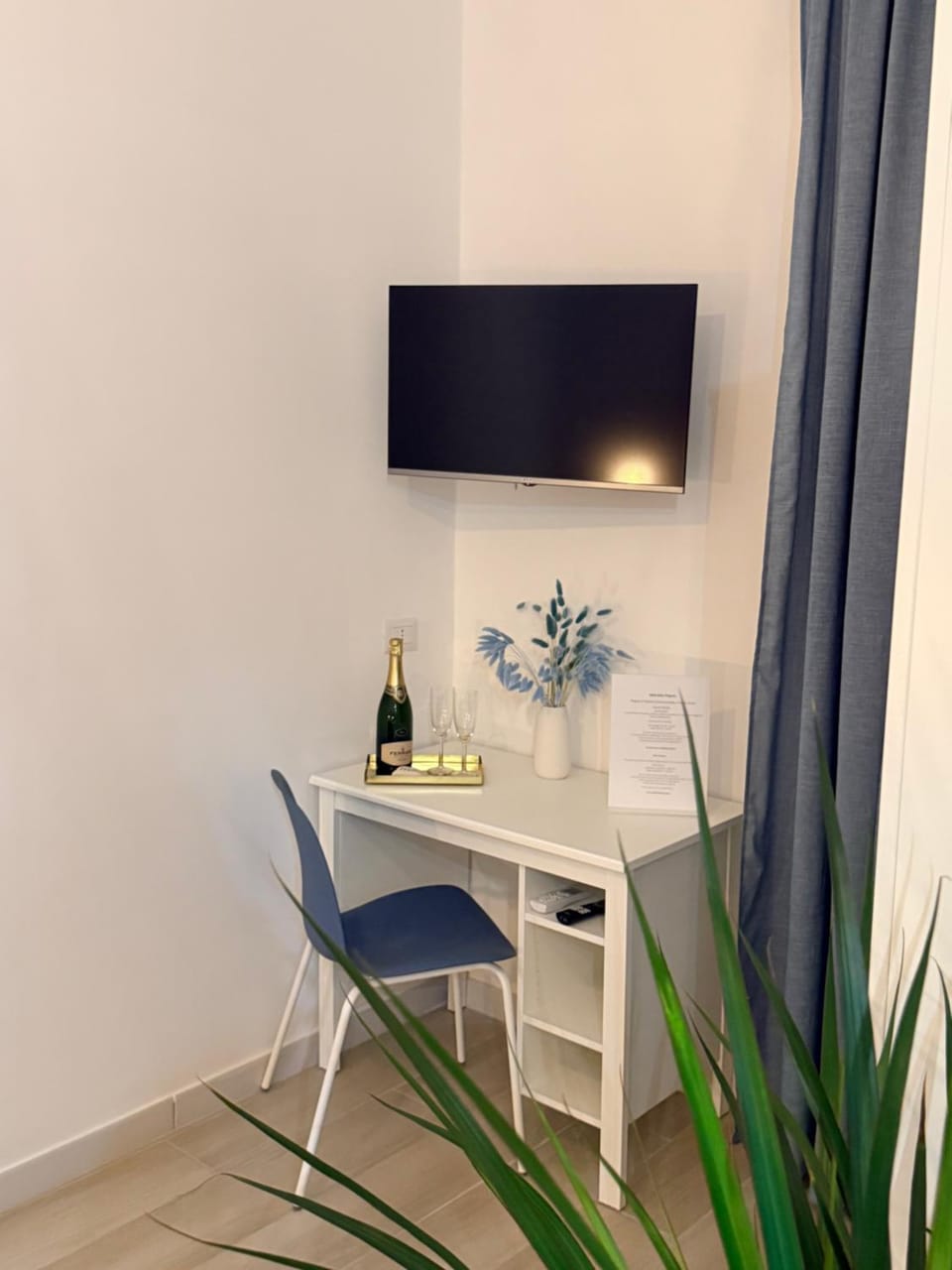 TV and multimedia