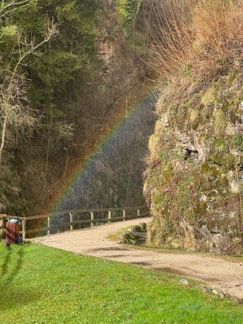 Natural landscape