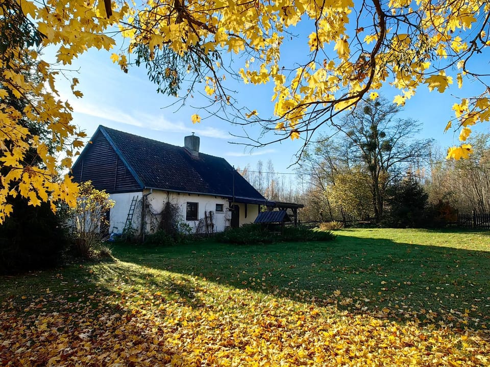 Property building, Autumn