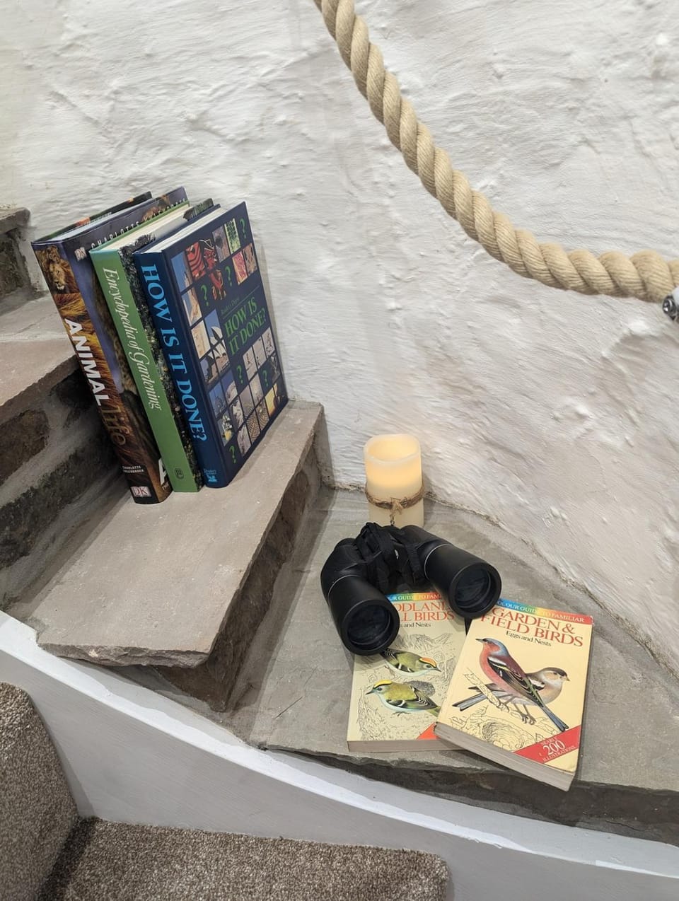 Primrose cottage - Upper cwmbran House in Wales