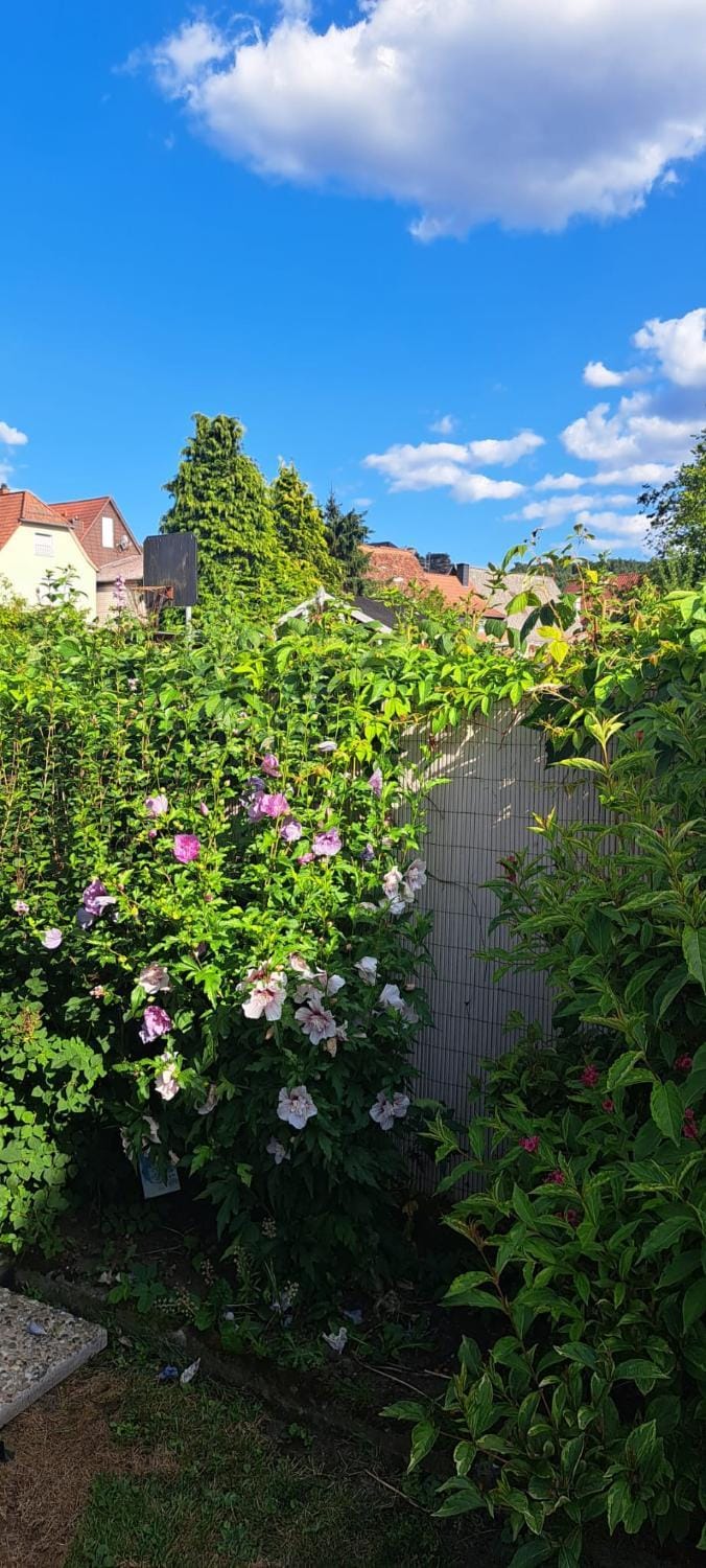 Garden, Garden view