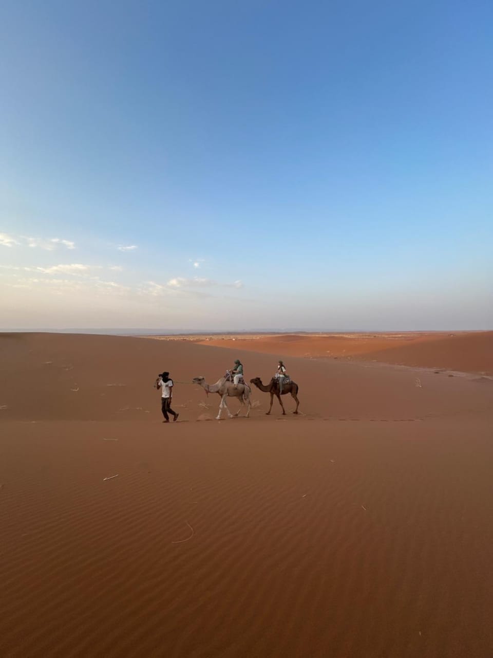 Day, People, Natural landscape, Horse-riding, Animals, group of guests