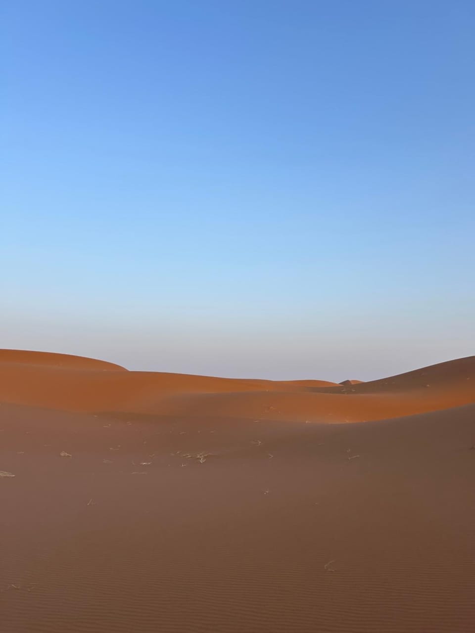Desert tours&trips Luxury tent in Morocco