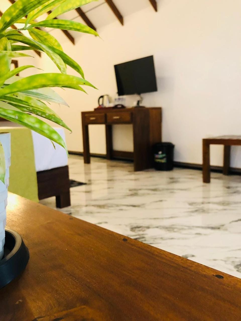 Property building, Communal lounge/ TV room, TV and multimedia, Evening entertainment