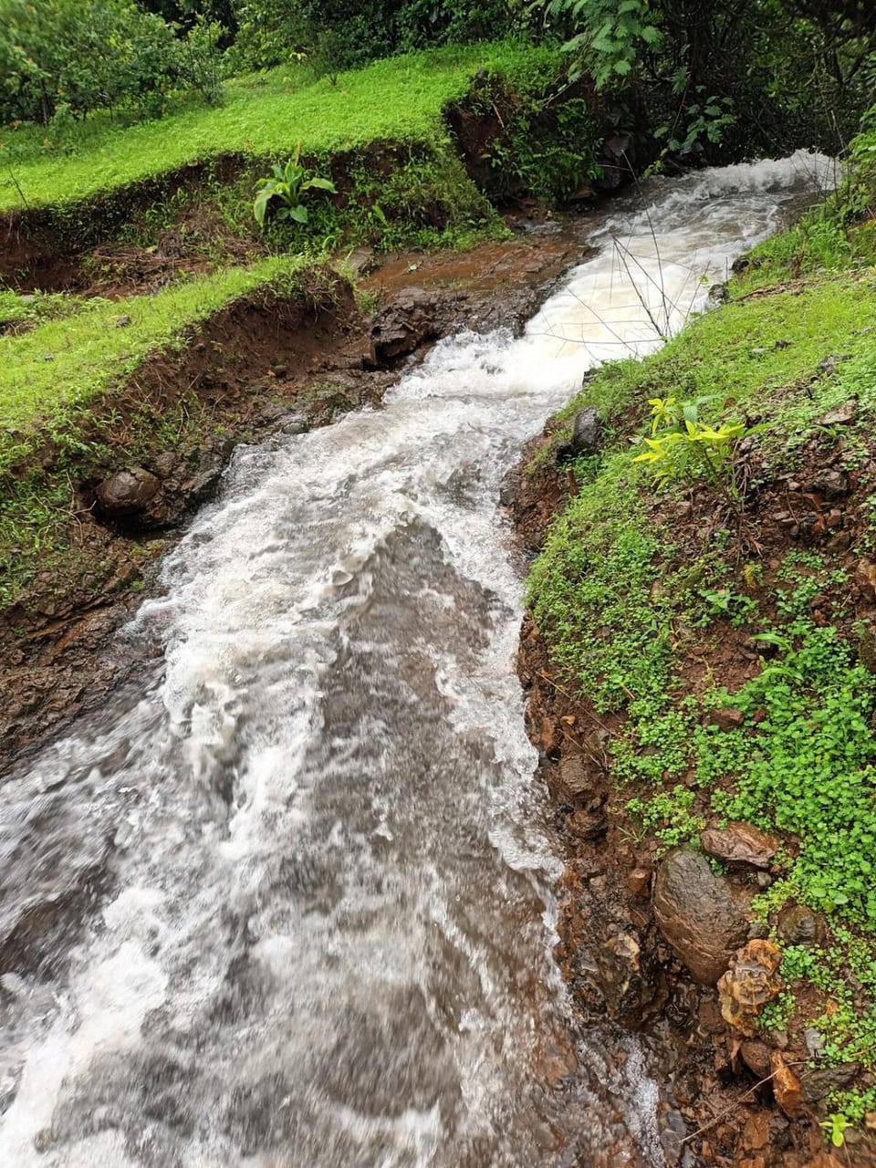 River view