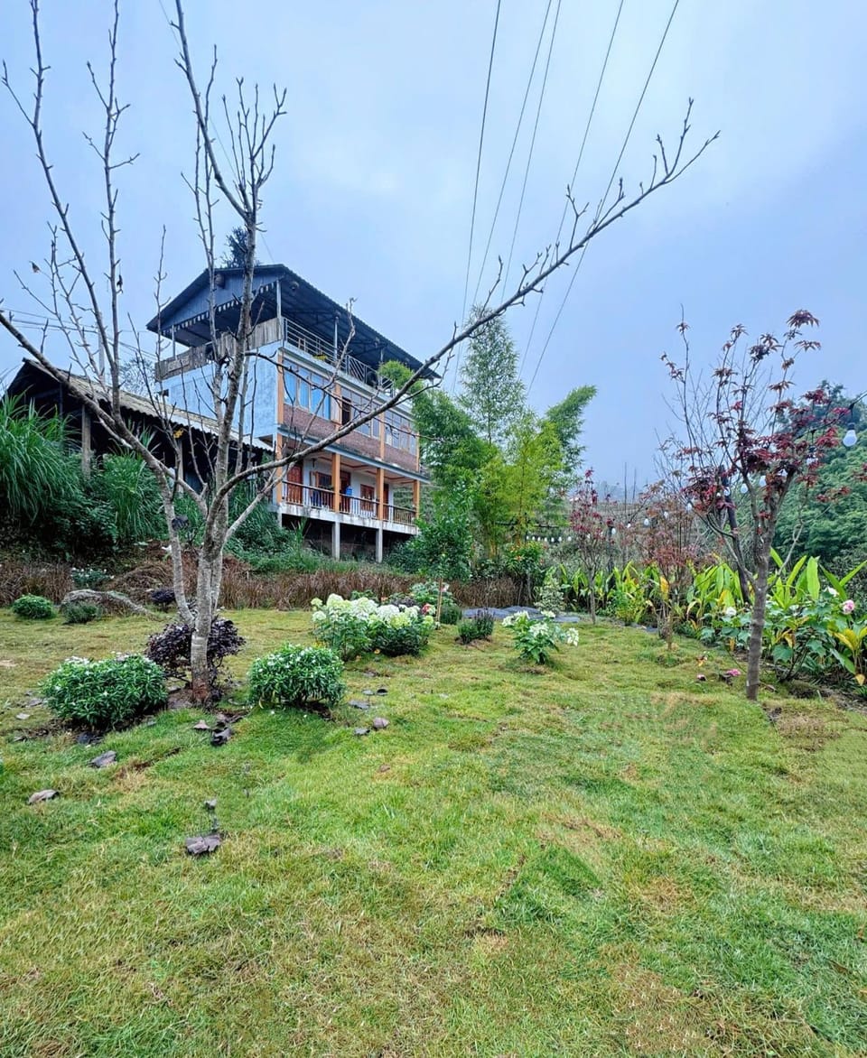 Natural landscape, Garden