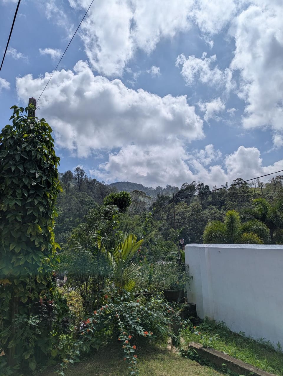 Mountain view
