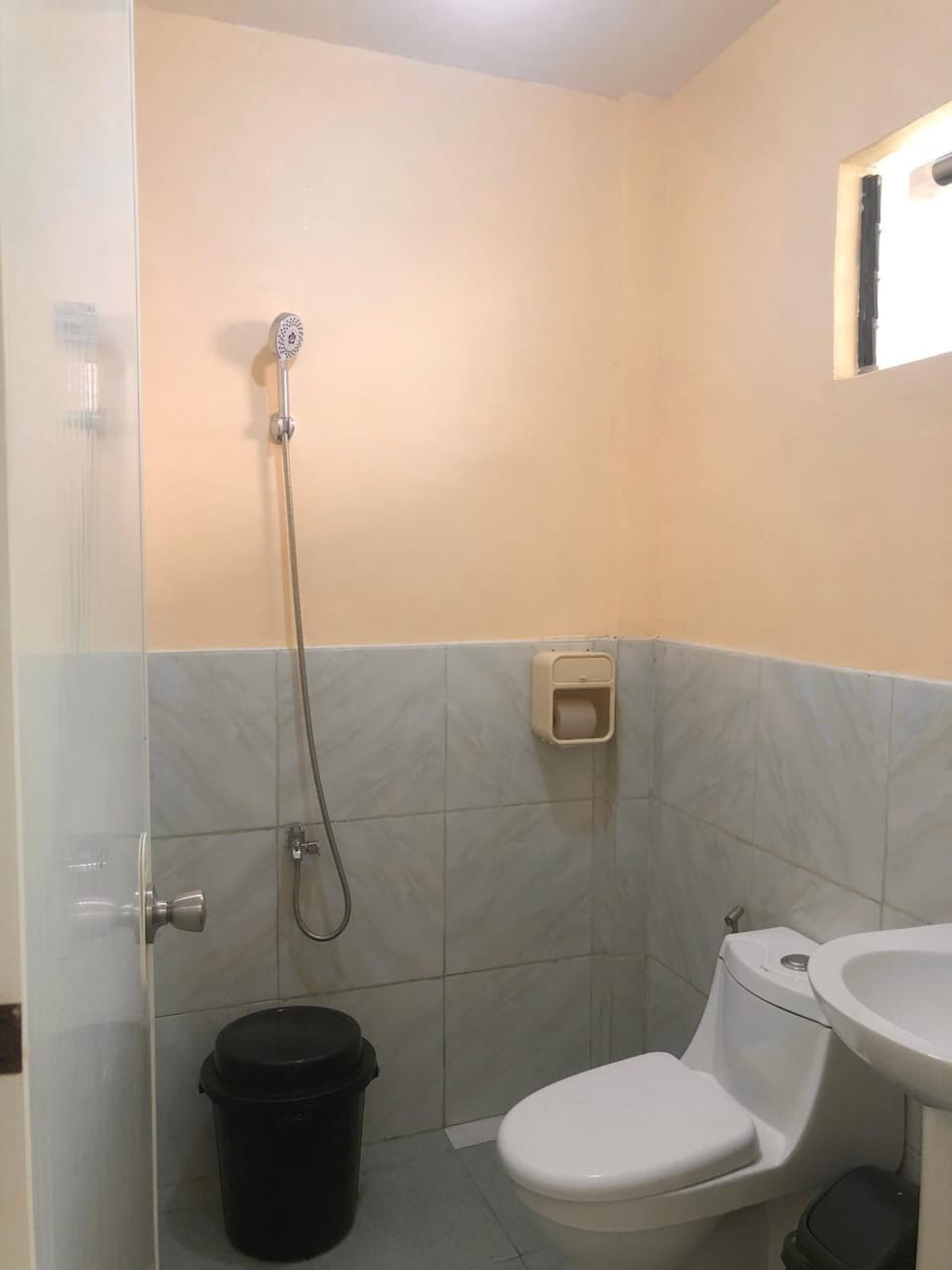 Shower, Toilet, Bathroom, bidet