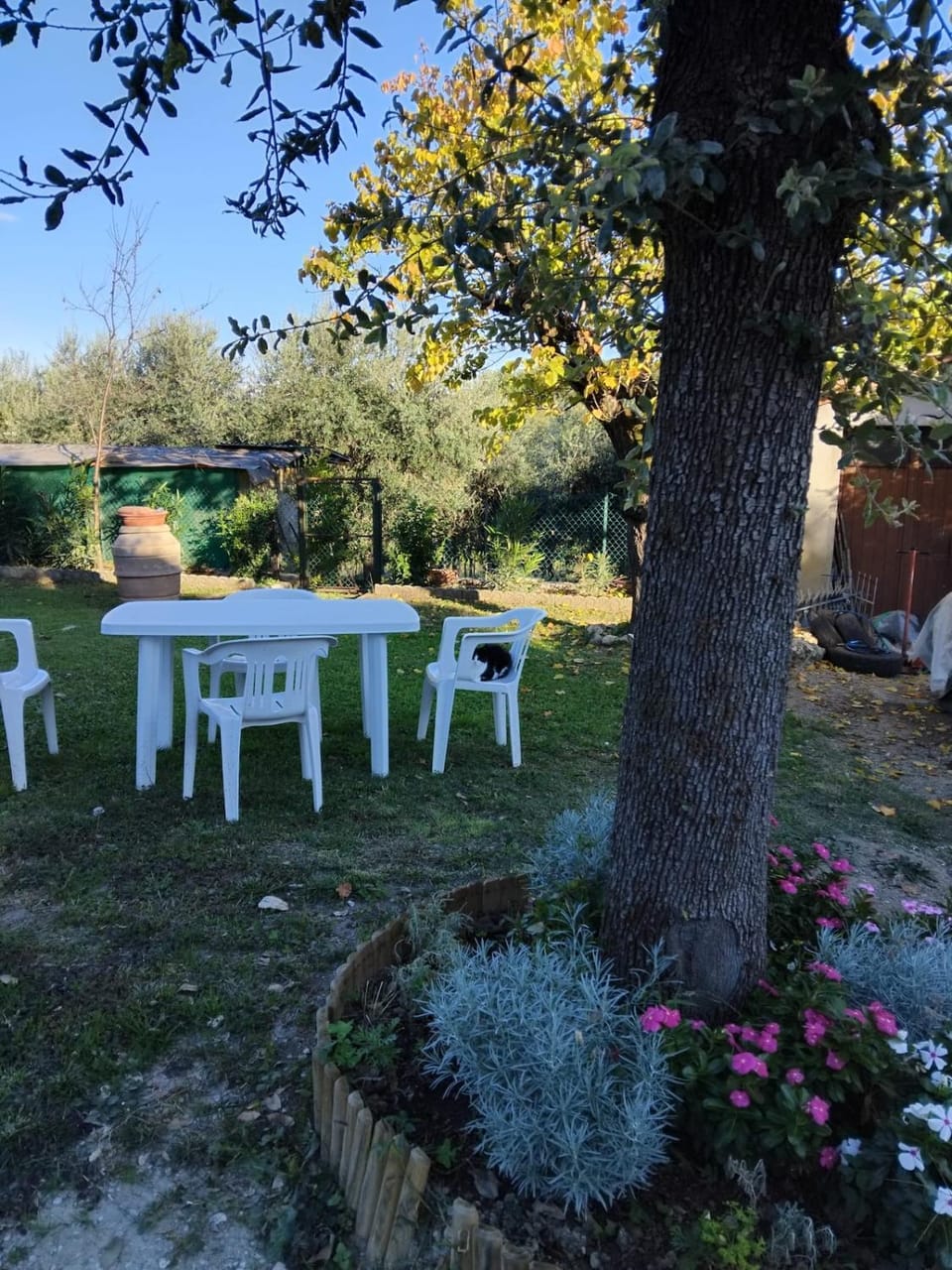 Casa vacanze La Vigna House in Chiusi