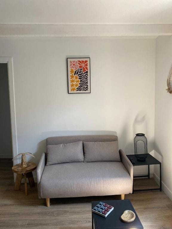 Charmant T2 cosy à Mazamet Apartment in Mazamet