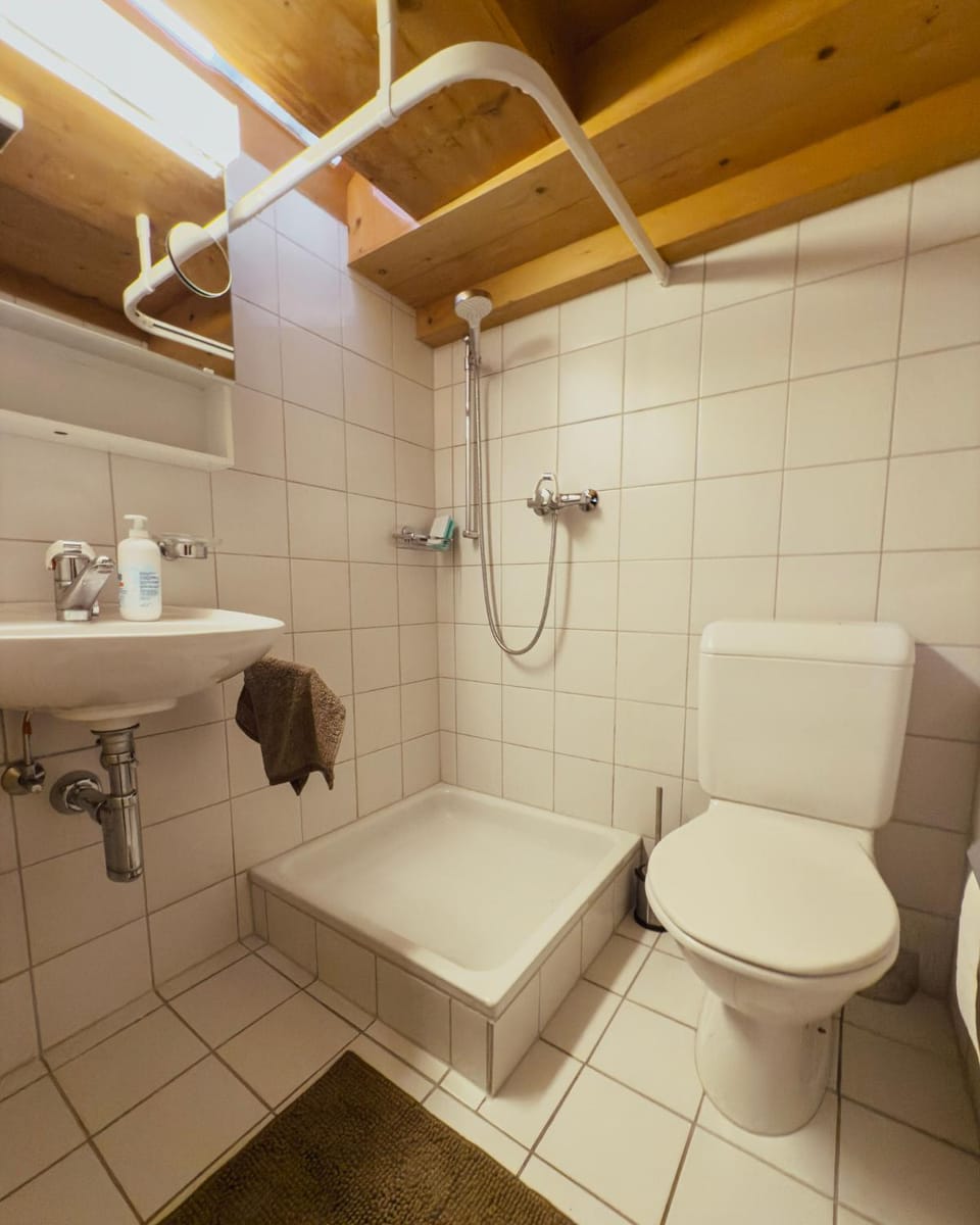 Grosszügige Wohnung Leiterli Apartment in Canton of Valais