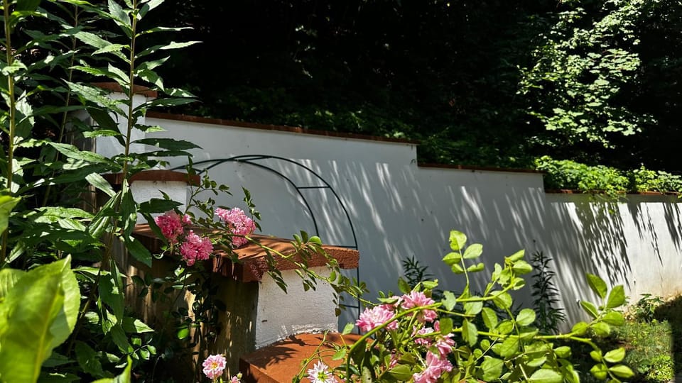 Day, Garden, Garden view