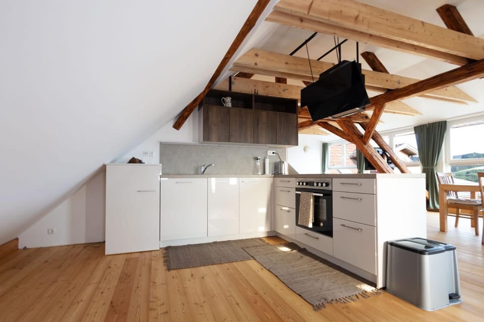 Kitchen or kitchenette, dishwasher, stove