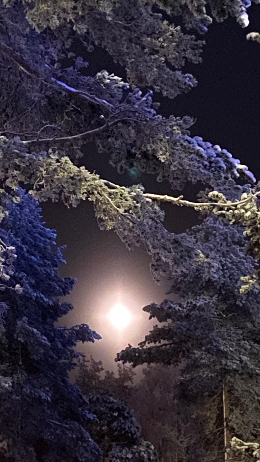 Night, Natural landscape