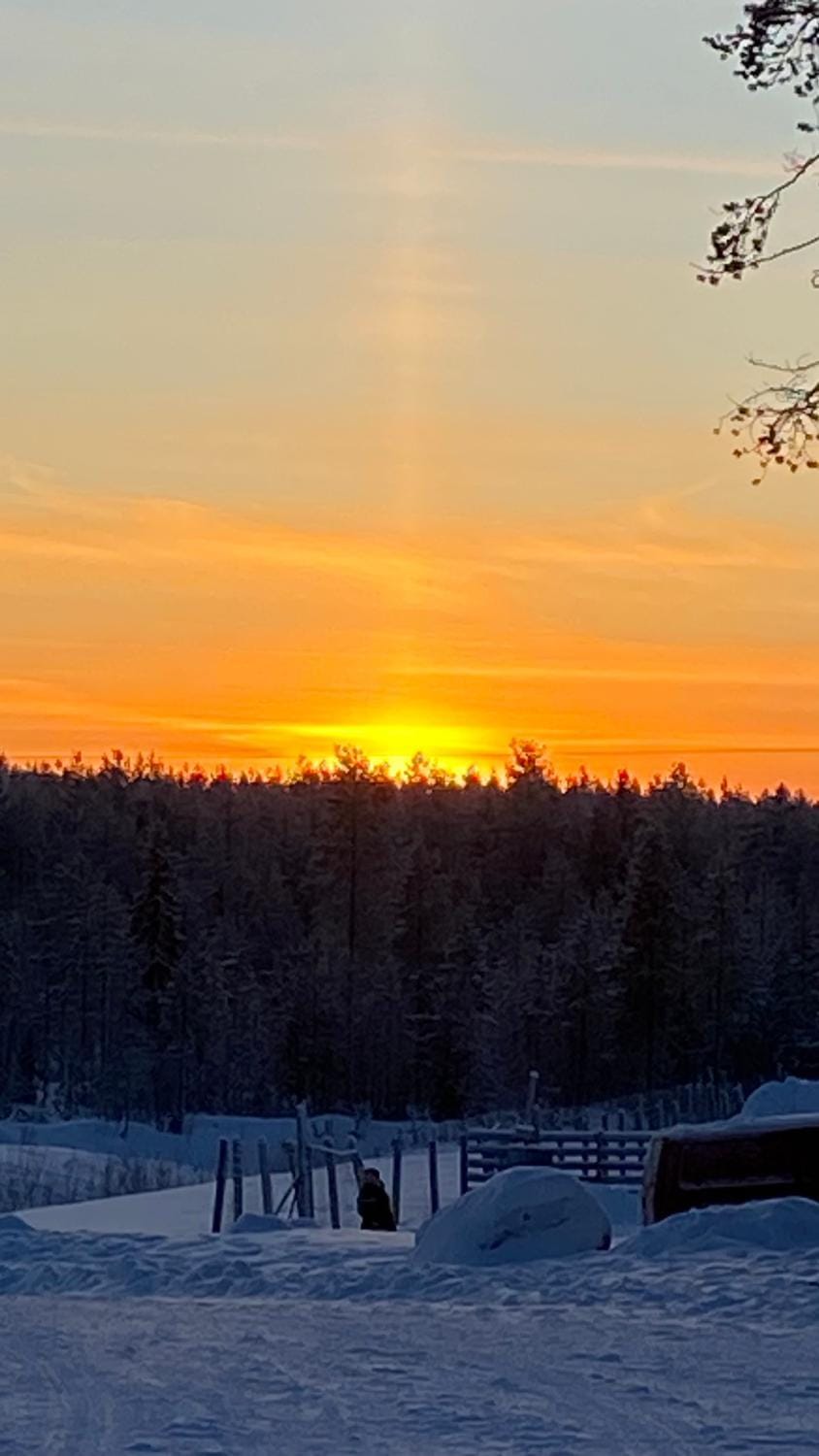 Sunset