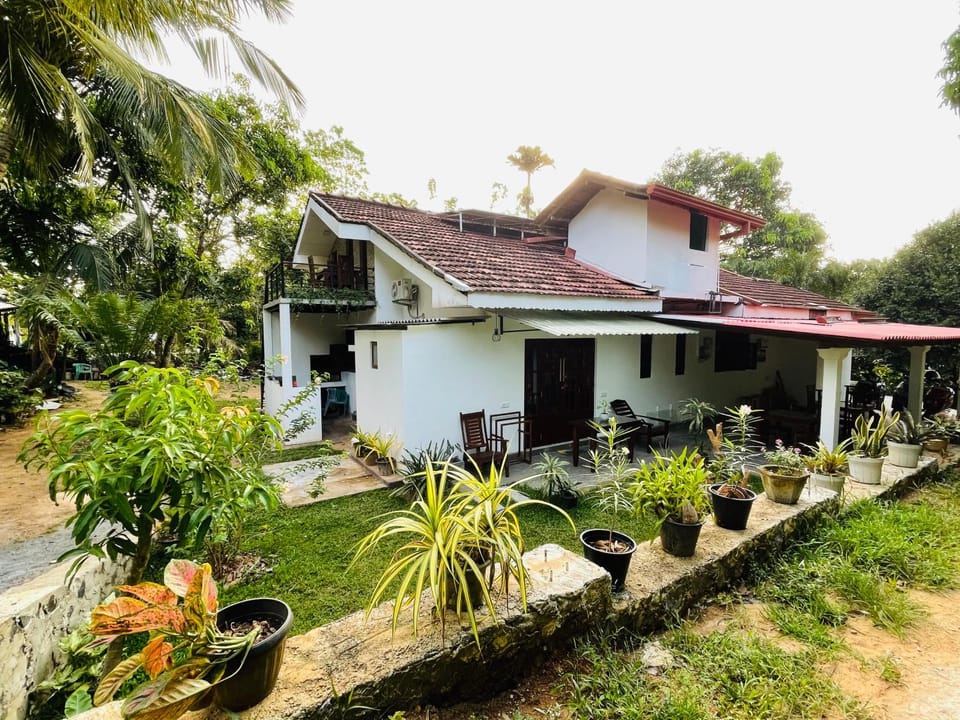 Property building, Spring, Day, Garden, Garden view