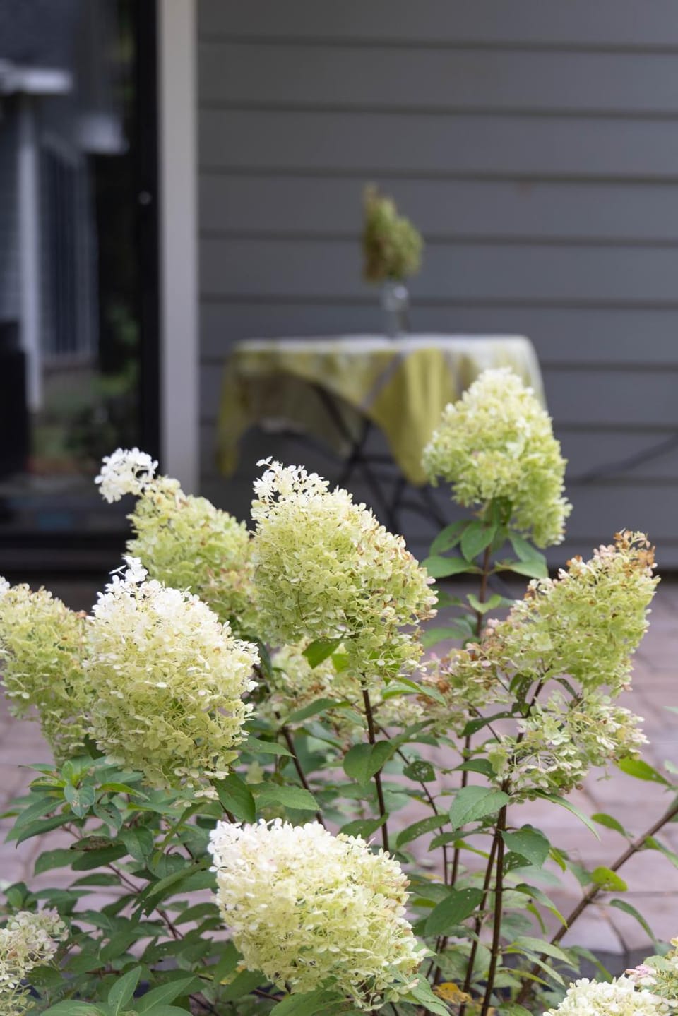 Garden, Garden view