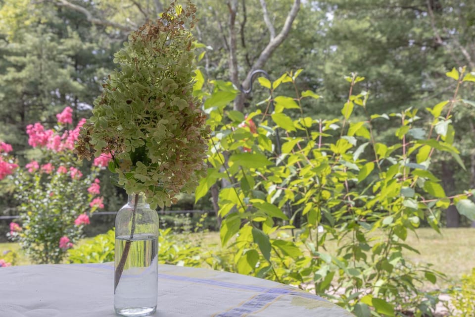 Garden, Garden view
