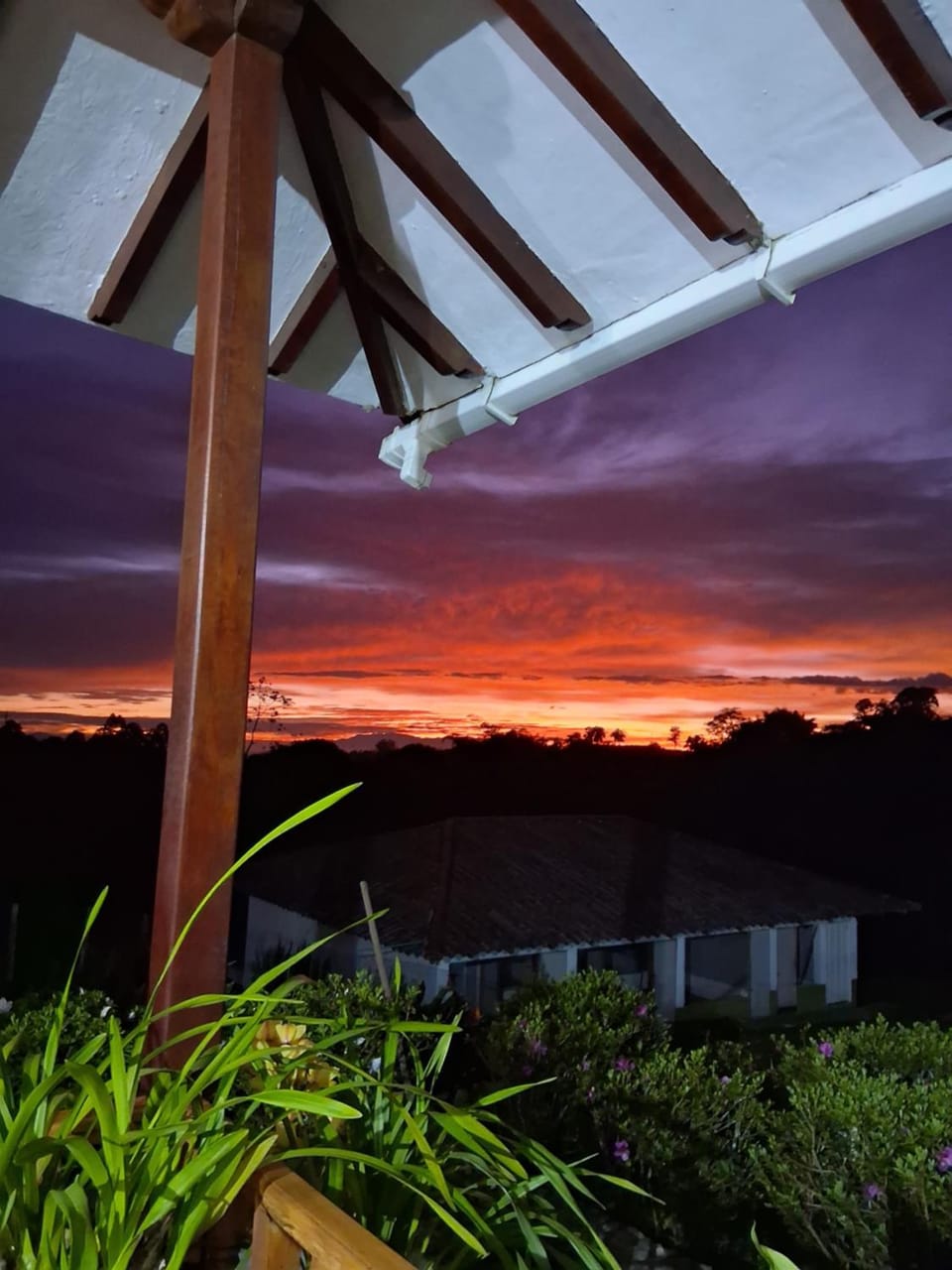 Finca La Maria - Filandia Farm Stay in Quindio, Colombia