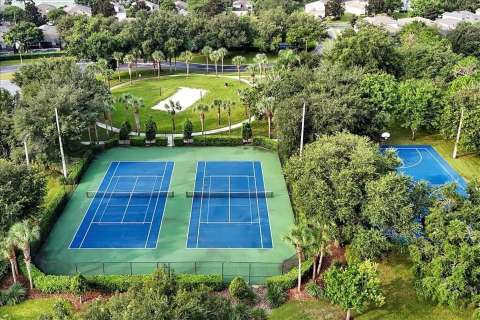 Disney Dream House in Windsor Hills