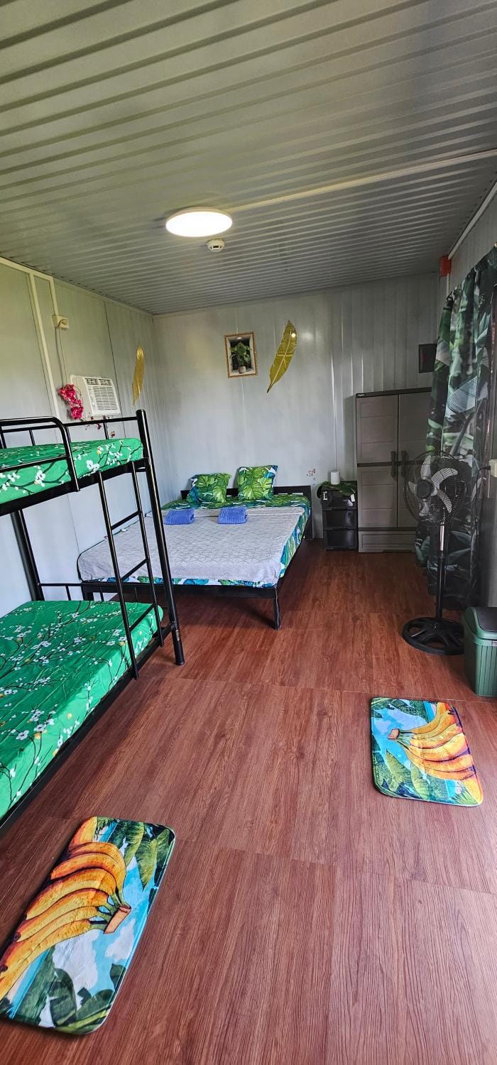 Bed, Photo of the whole room, Bedroom, bunk bed