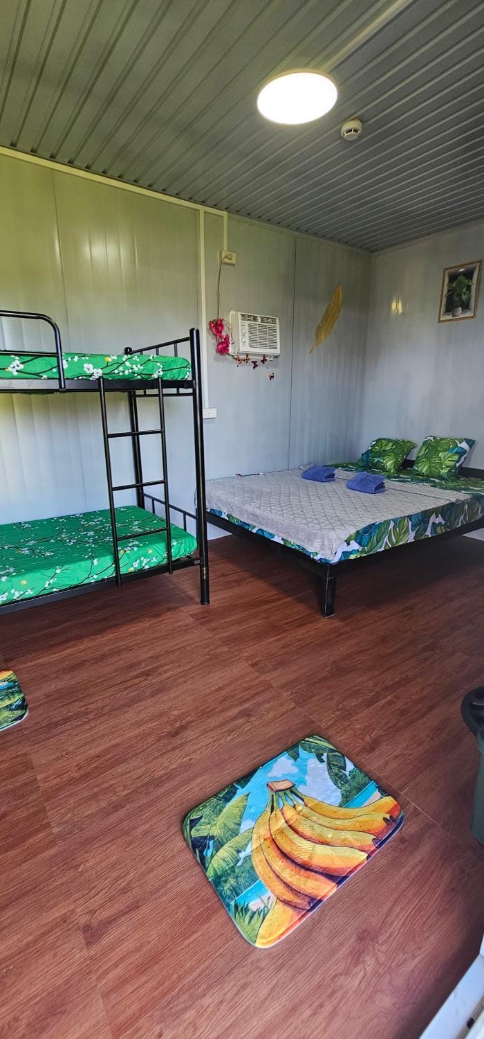 Bed, Photo of the whole room, Bedroom, bunk bed