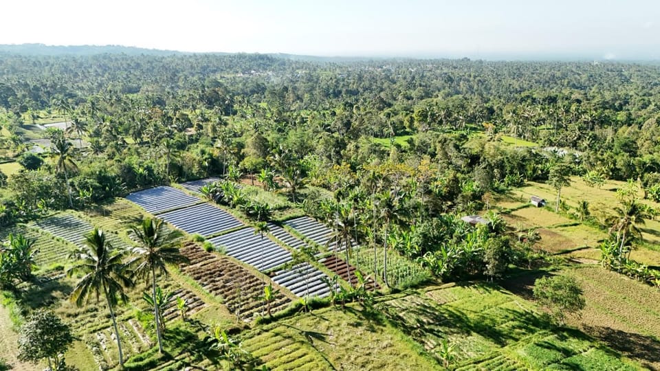 Ponjol Cottages Tetebatu Bed and Breakfast in West Nusa Tenggara, Indonesia