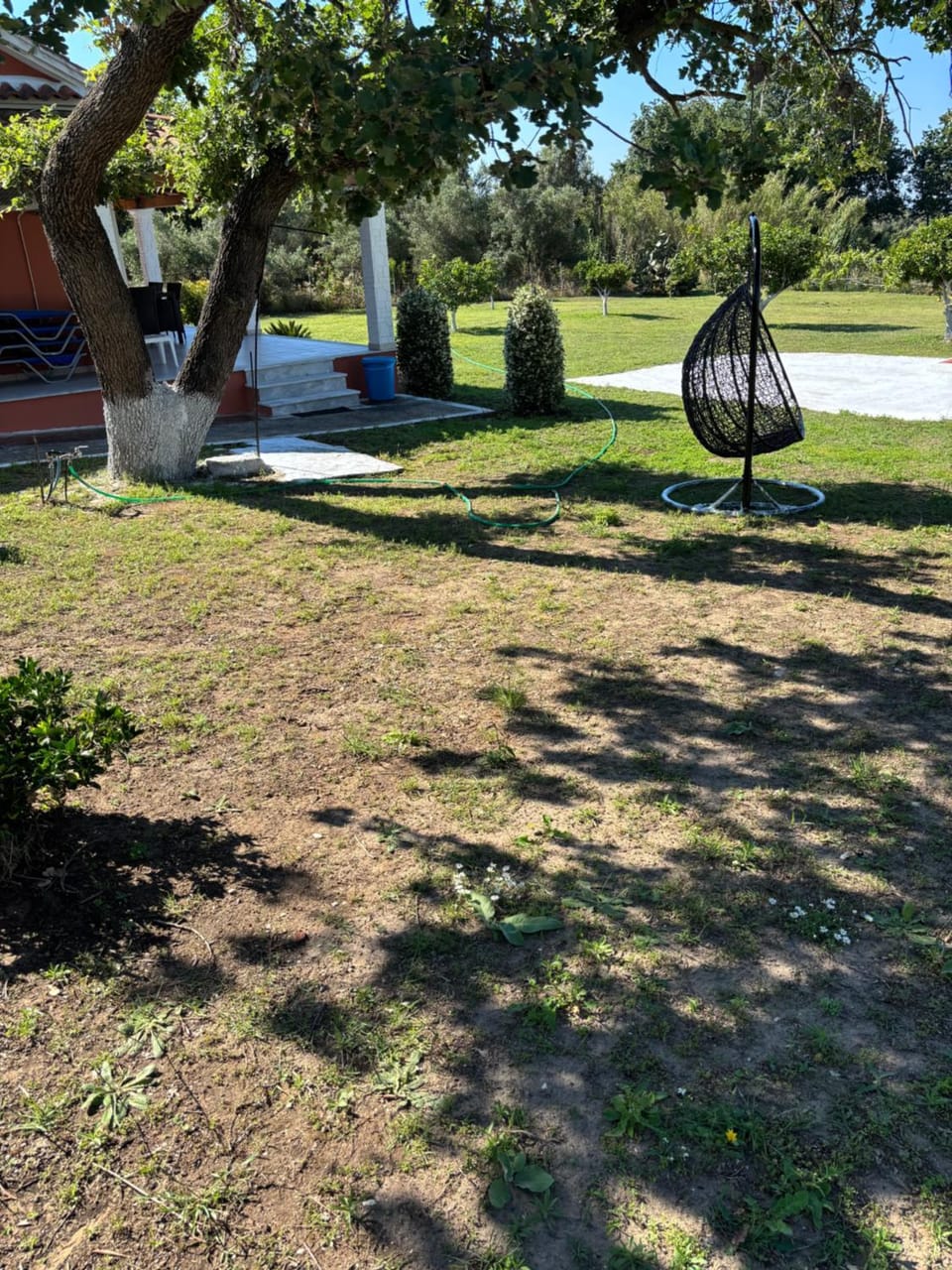 Garden, Garden view, Sea view, Sunrise