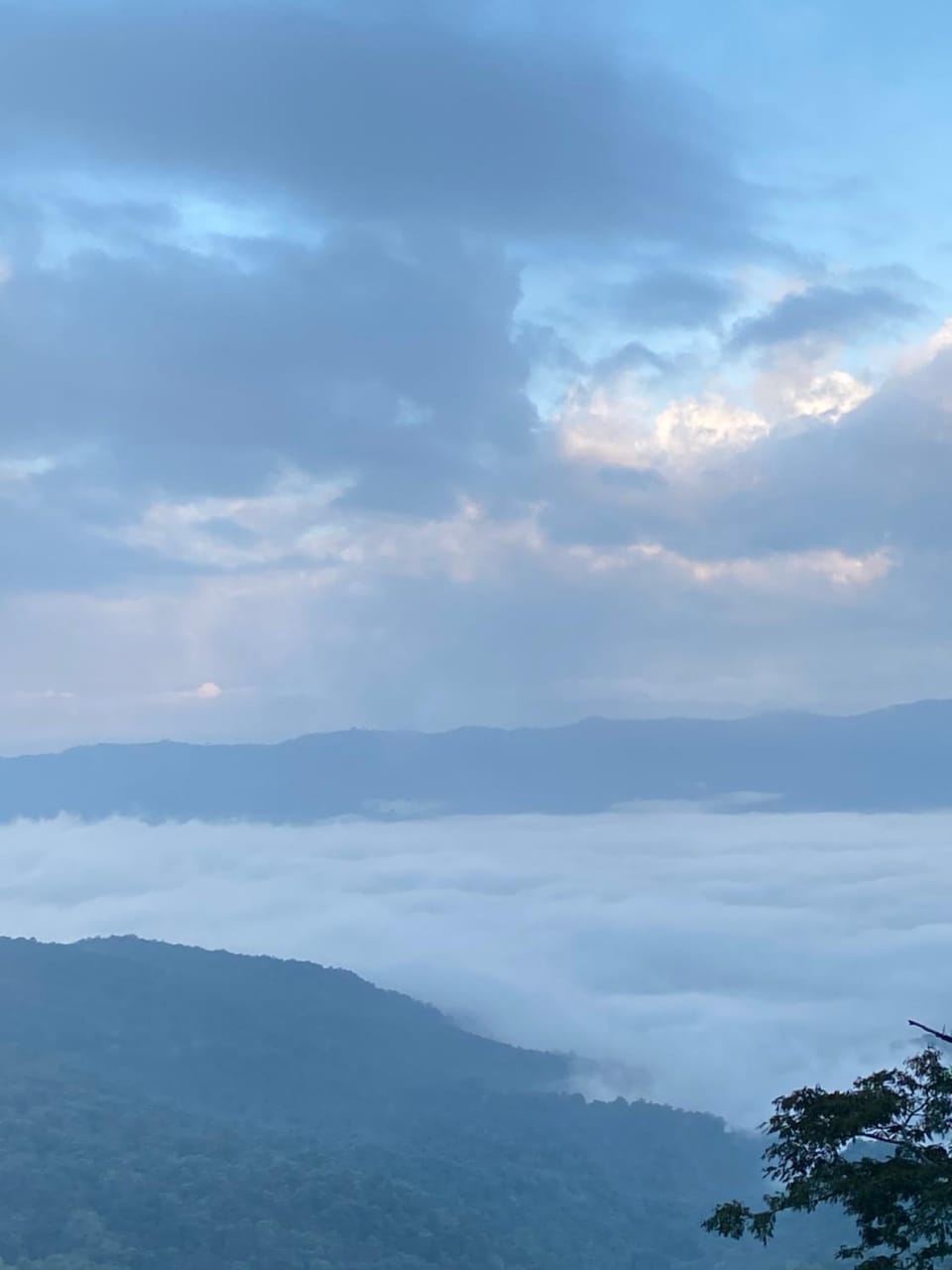 Memory House ภูชี้ฟ้า เชียงราย Campground/ 
RV Resort in Laos